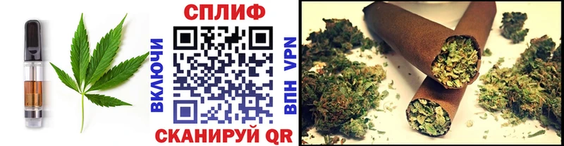 Canna-Cookies марихуана  Купить  Холм 