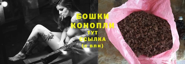 прущие грибы Мегион